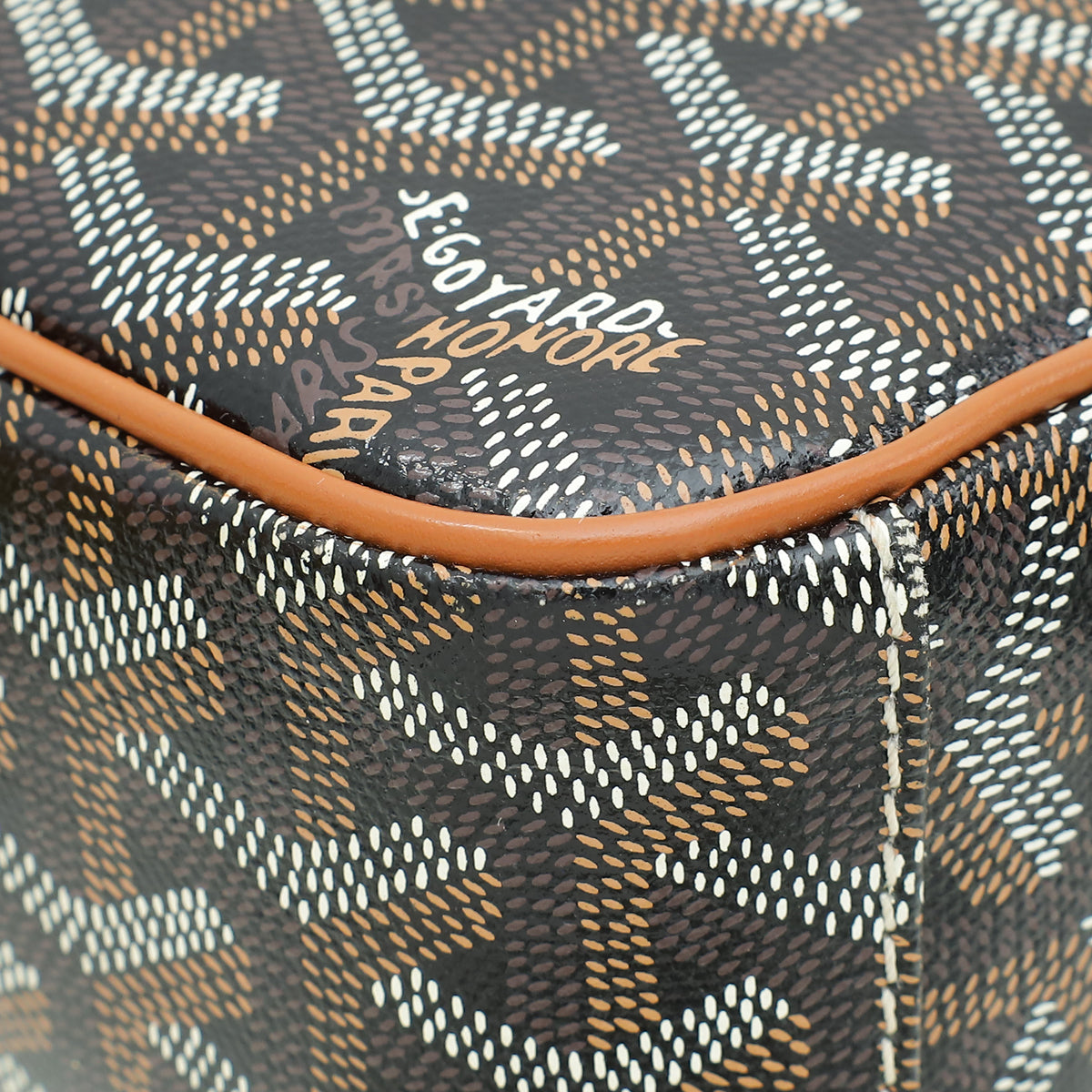 Goyard Bicolor Goyardine Cap Vert PM Bag