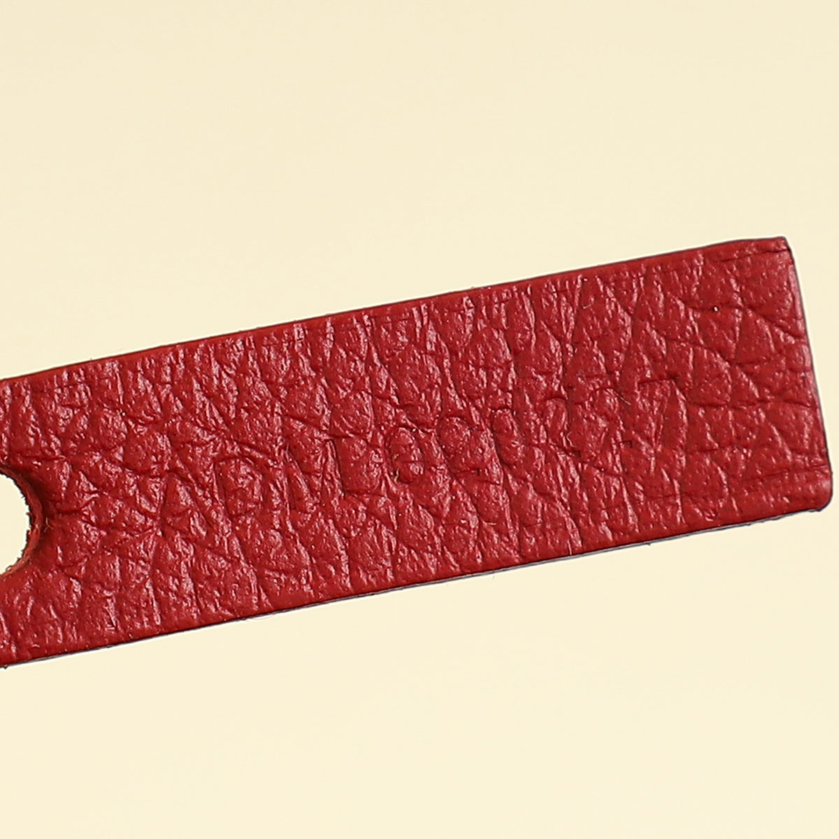 Goyard Red Goyardine Saint Louis PM Bag-Goyard-THE CLOSET