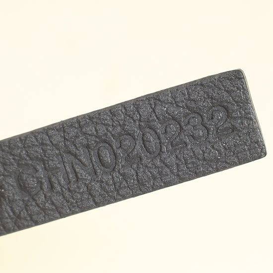 Goyard Grey Goyardine Saint Louis PM Bag