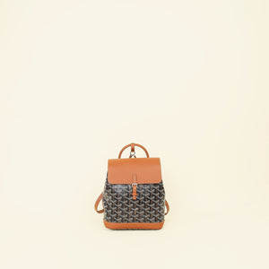 Goyard Bicolor Goyardine Mini Alpin Backpack Bag