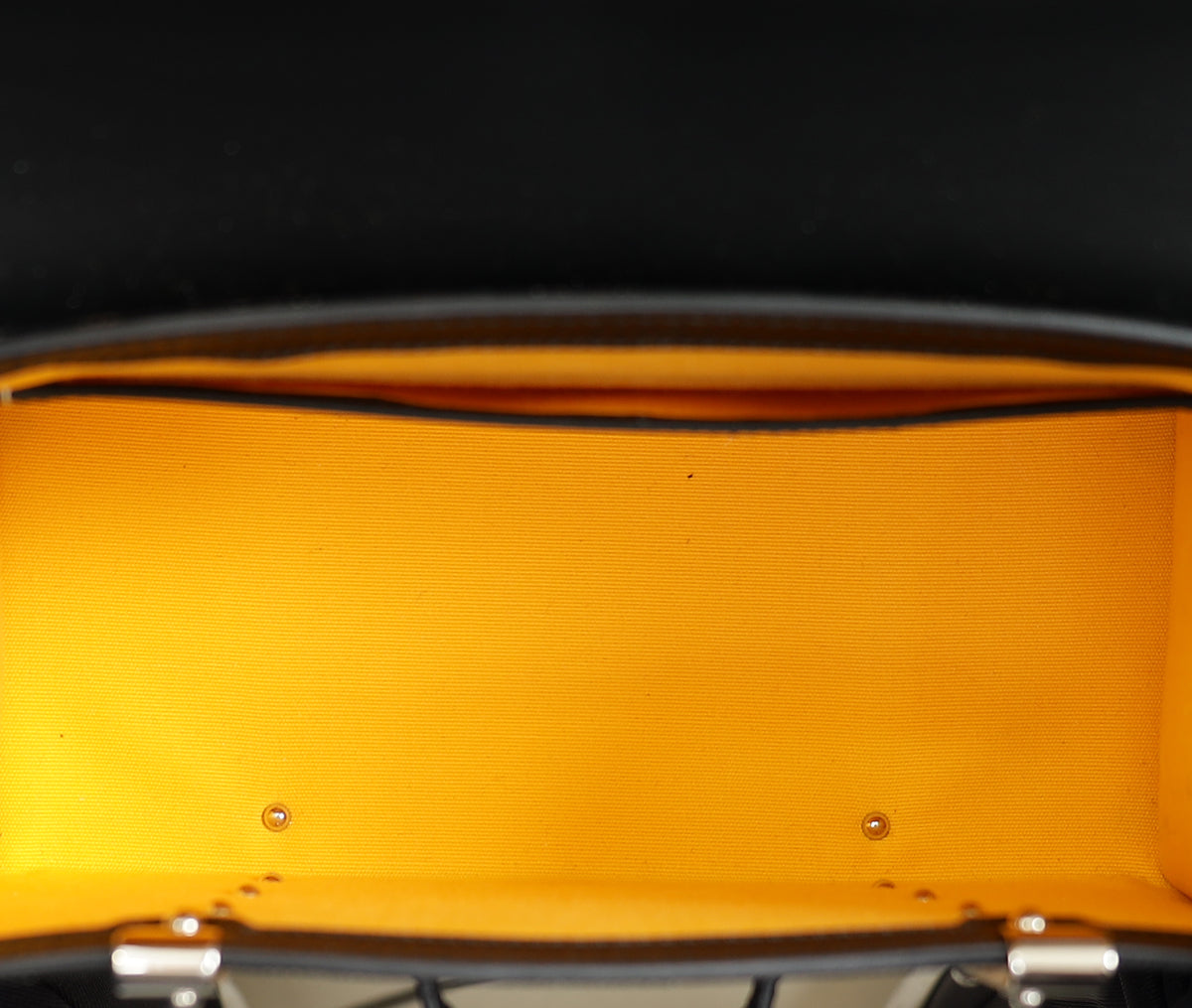 Goyard Black Saigon Mini Structure Bag