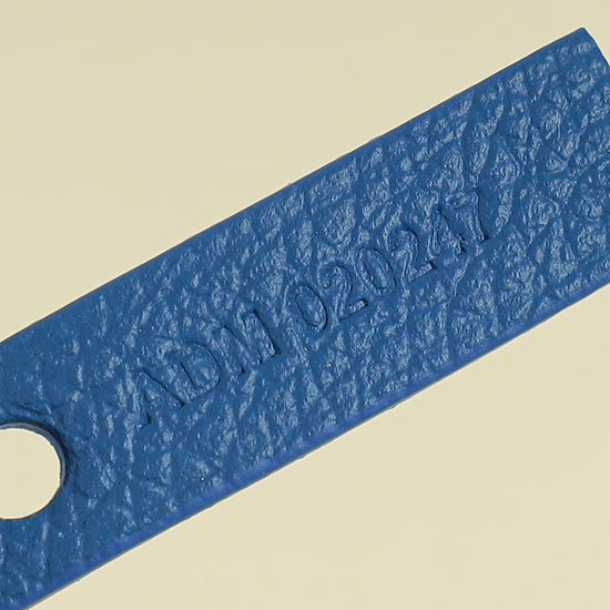 Goyard Blue Goyardine Saint Louis PM Bag