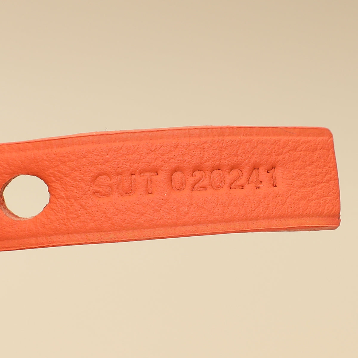 Goyardine Coral Ltd. Ed. Reversible Embroidered Seahorse Anjou PM Bag-Goyard-THE CLOSET