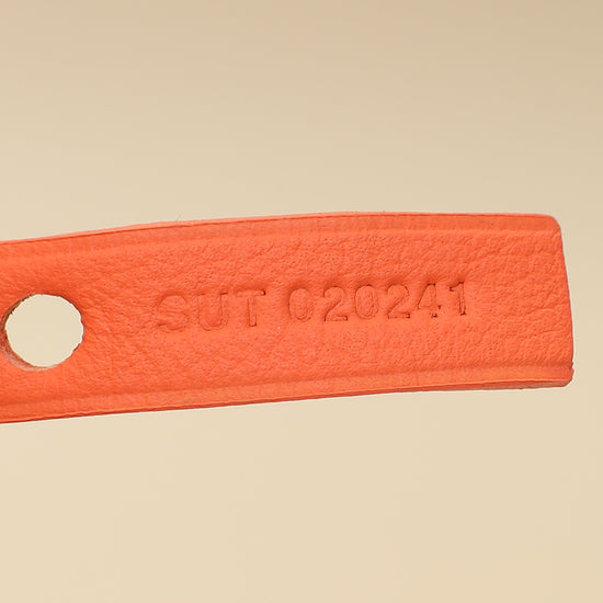 Goyardine Coral Ltd. Ed. Reversible Embroidered Seahorse Anjou PM Bag-Goyard-THE CLOSET