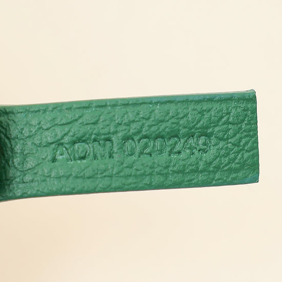 Goyard Green Goyardine Saint Louis PM Bag-Goyard-THE CLOSET