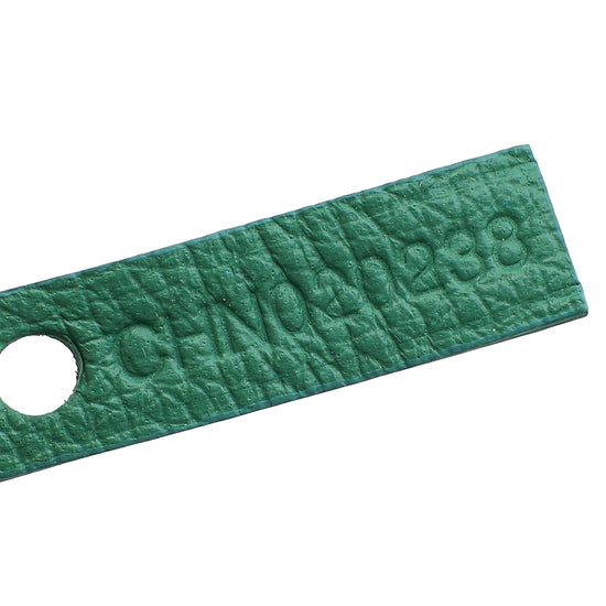 Load image into Gallery viewer, Goyard Green Goyardine Saint Louis GM Bag
