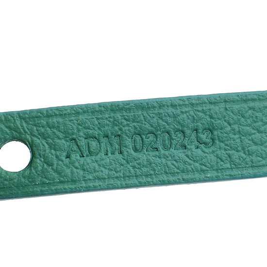 Load image into Gallery viewer, Goyard Green Goyardine Saint Louis PM Bag
