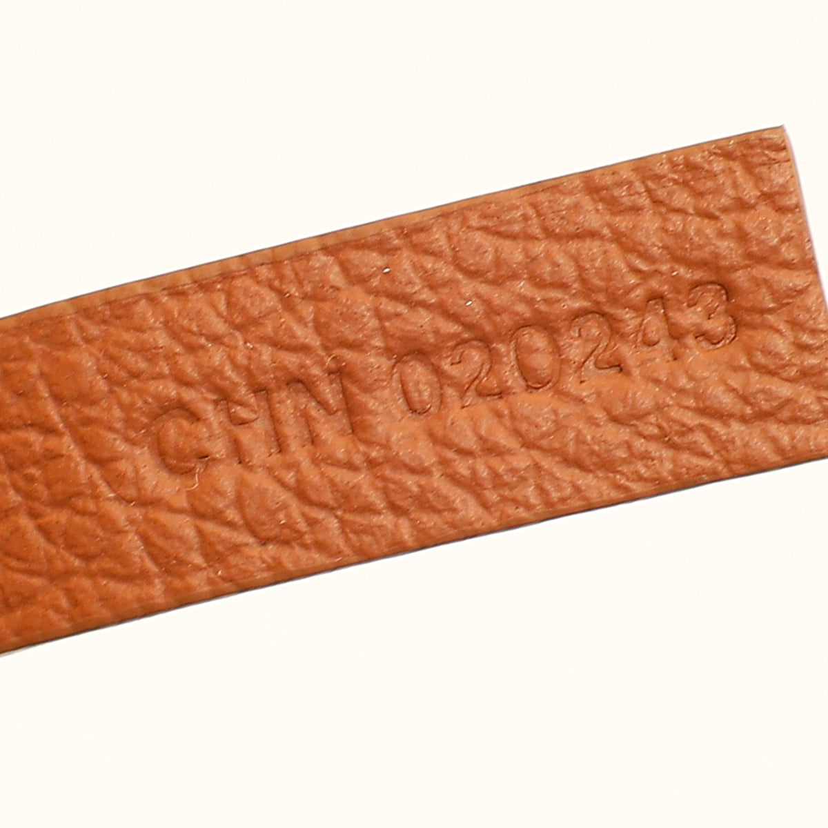 Goyard Bicolor Goyardine Saint Louis PM Bag-Goyard-THE CLOSET