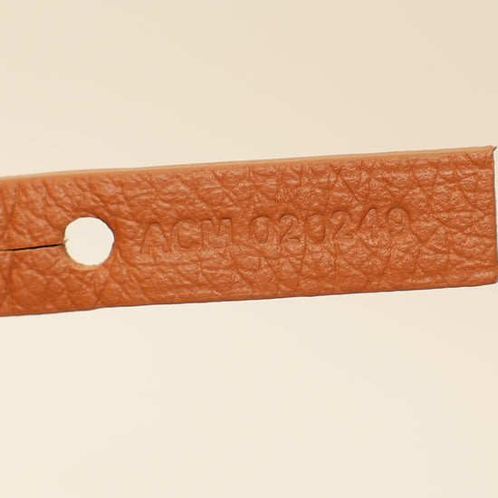 Goyard Bicolor Goyardine Saint Louis PM Bag-Goyard-THE CLOSET