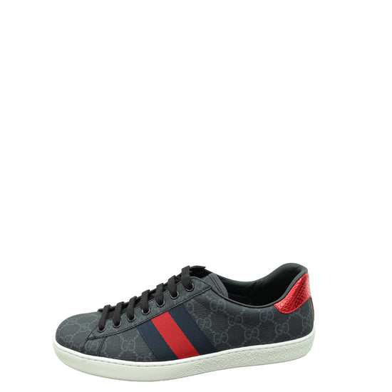 Gucci GG Supreme Web Ace Men's Sneaker 7.5