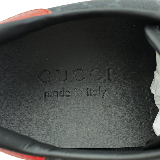 Gucci GG Supreme Web Ace Men's Sneaker 7.5