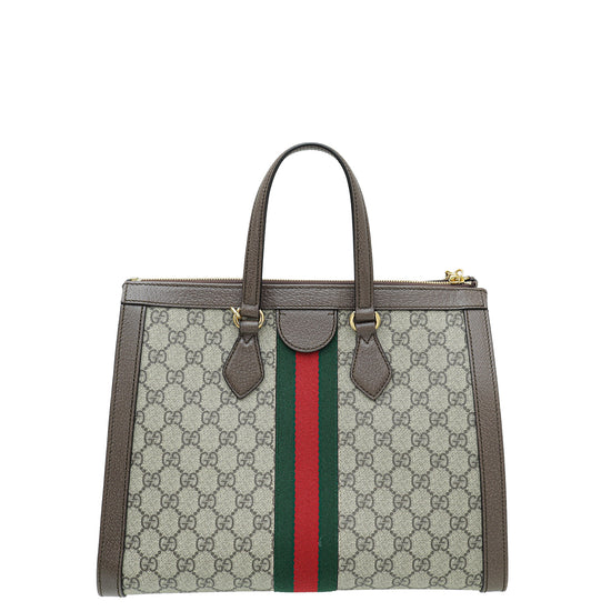 Gucci Bicolor GG Ophidia Medium Bag