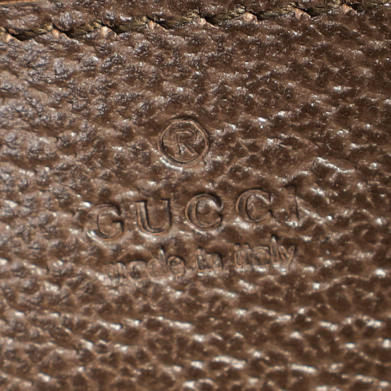 Gucci Bicolor GG Supreme Ophidia Mini Bag