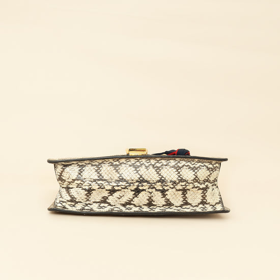 Gucci Bicolor Python Sylvie Small Shoulder Bag-Gucci-THE CLOSET