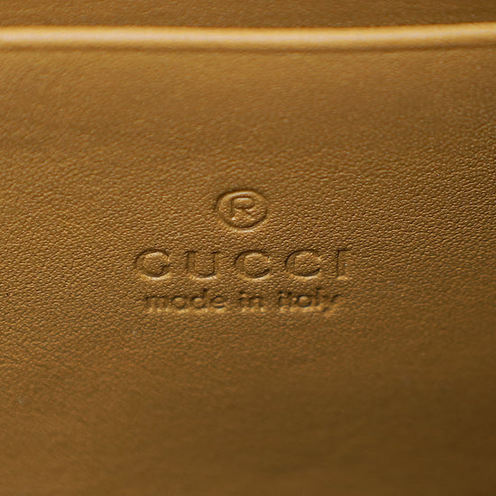 Gucci Bicolor Python Dionysus Mini Chain Bag