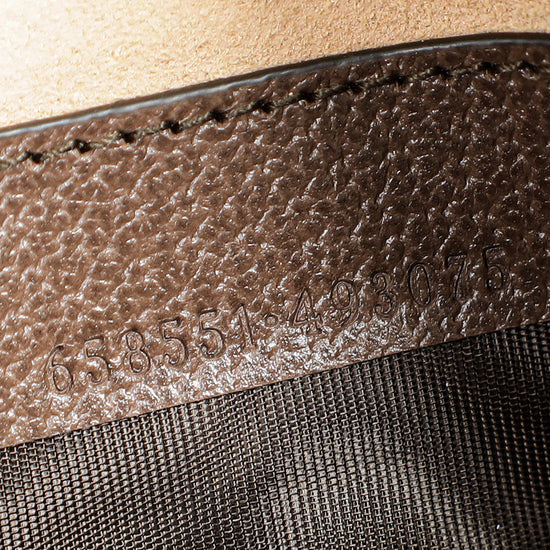 Gucci Bicolor GG Supreme Ophidia Mini Bag