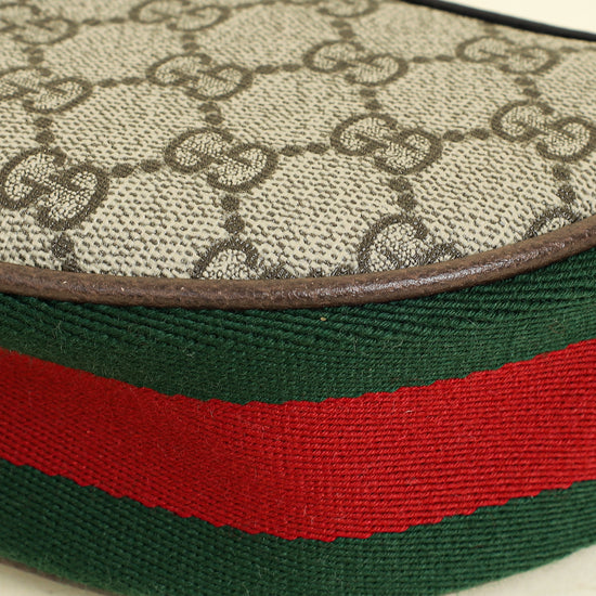 Gucci Bicolor GG Supreme Ophidia Mini Bag