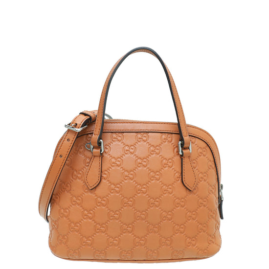 Gucci Brown GG Guccissima Dome Mini Convertible Bag