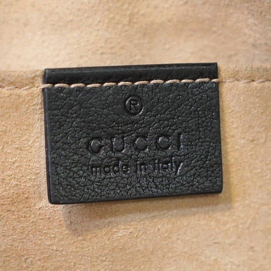 Gucci Bicolor GG Camera Small Bag