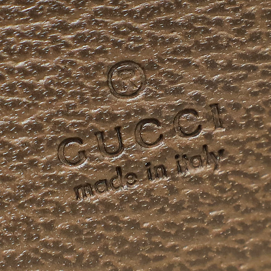 Gucci Multicolor Ophidia Mini Crossbody Bag