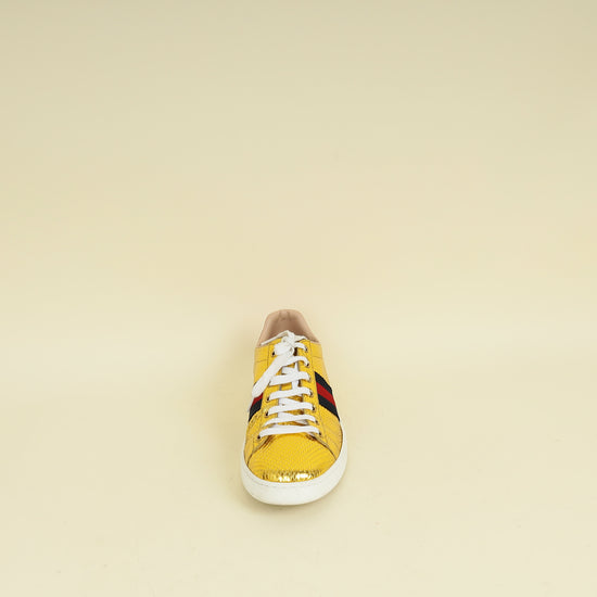 Gucci Bicolor Python Ace Sneaker 39.5