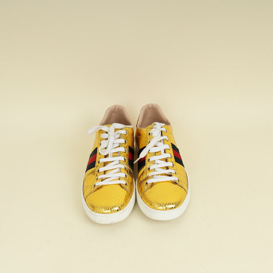 Gucci Bicolor Python Ace Sneaker 39.5