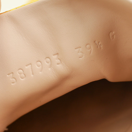 Gucci Bicolor Python Ace Sneaker 39.5