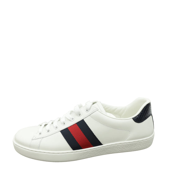 Gucci White Ace Web Men's Sneaker 9