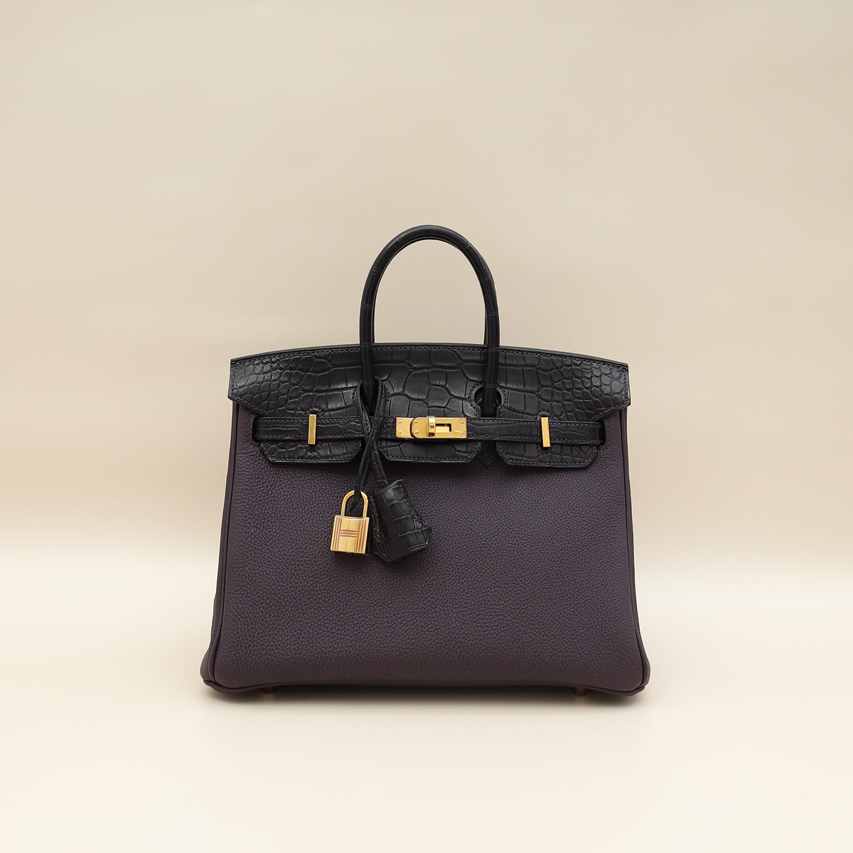 Hermes Bicolor Birkin Touch 25 Bag-Hermes-THE CLOSET