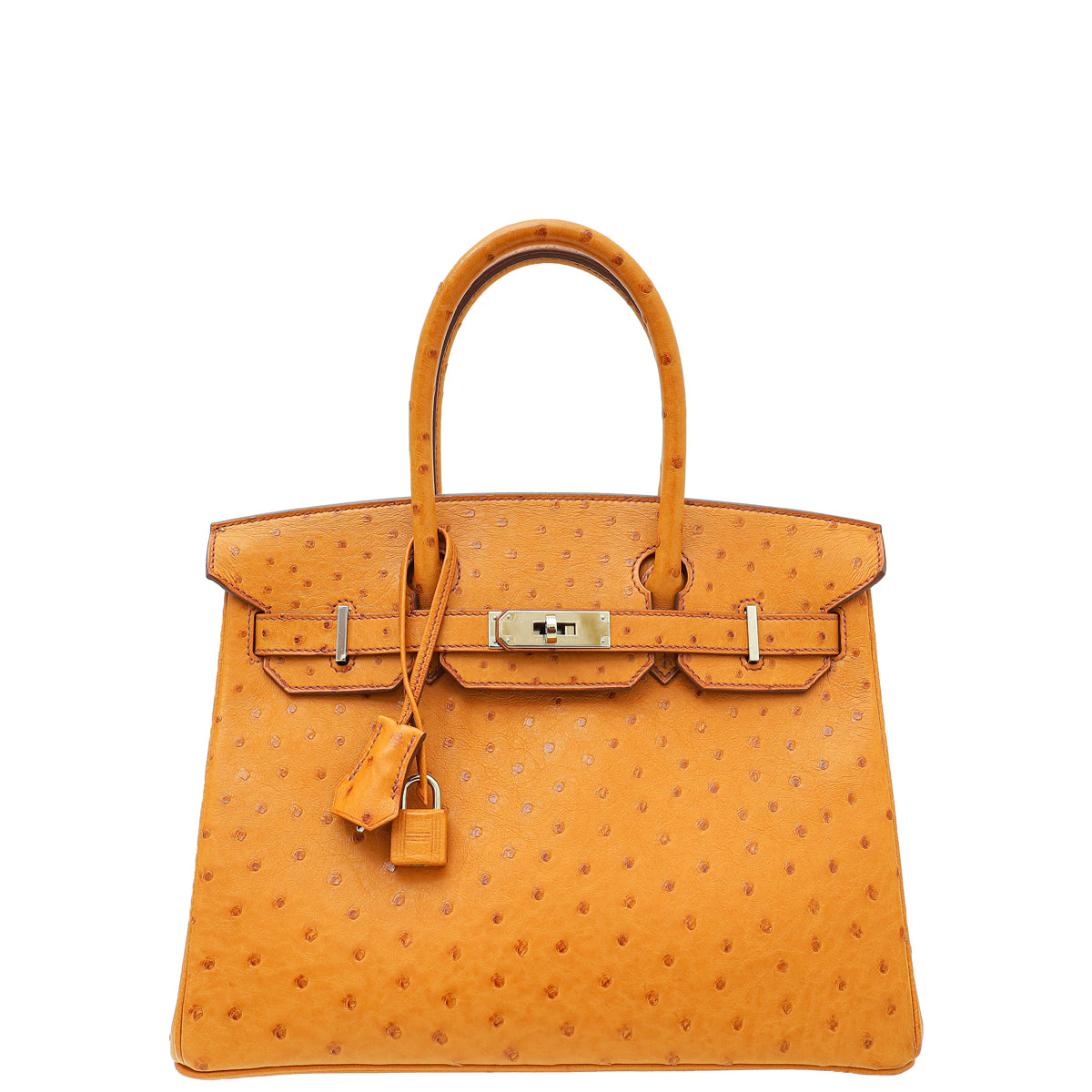 Hermes Cognac Ostrich Birkin 30 Bag-Hermes-THE CLOSET