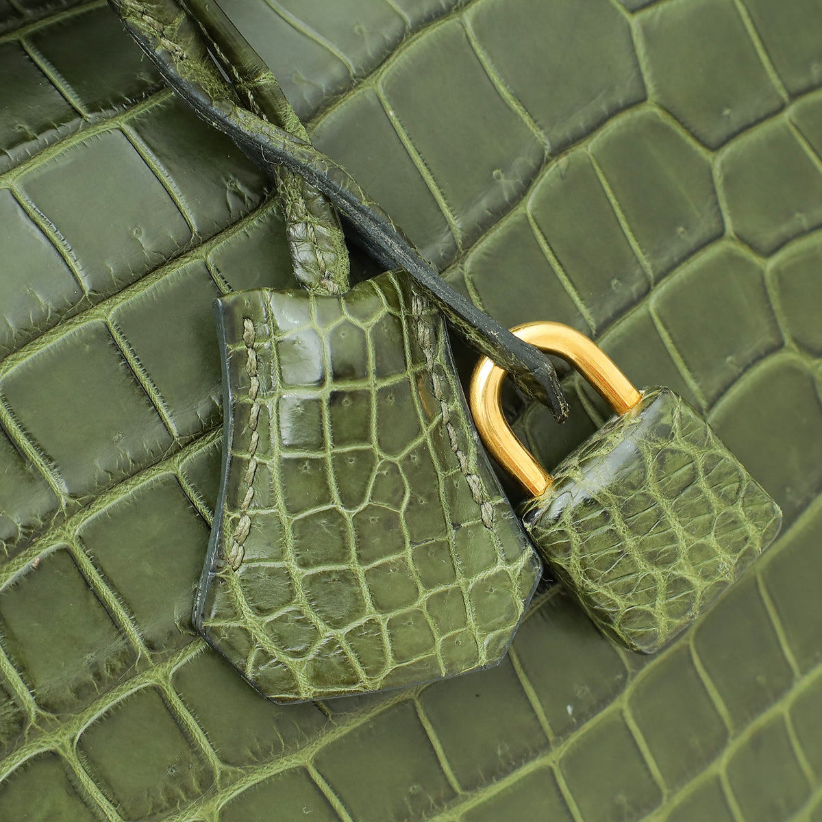 Hermes Vert Veronese Matte Crocodile Porosus Birkin 35 Bag