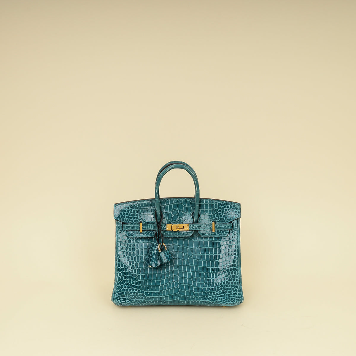 Hermes Colvert Shiny Porosus Crocodile Birkin 25 Bag-Hermes-THE CLOSET