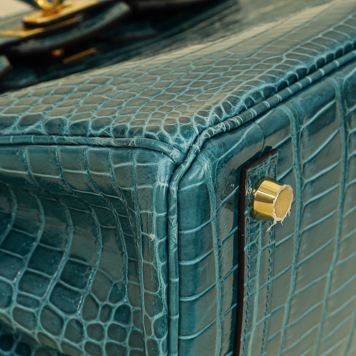 Hermes Colvert Shiny Porosus Crocodile Birkin 25 Bag-Hermes-THE CLOSET