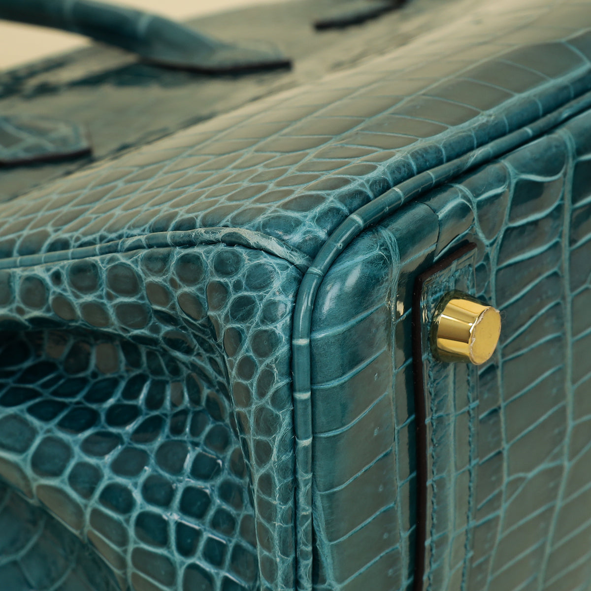 Hermes Colvert Shiny Porosus Crocodile Birkin 25 Bag-Hermes-THE CLOSET