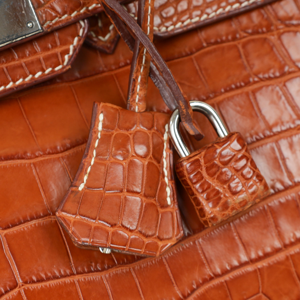Hermes Fauve Niloticus Crocodile Birkin 30 Bag — image 9 of 14