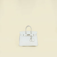 Hermes Blanc Birkin 25 Bag