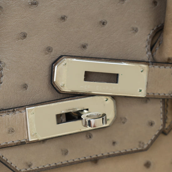 Hermes Gris Tourterelle Ostrich Retourne Birkin 30 Bag
