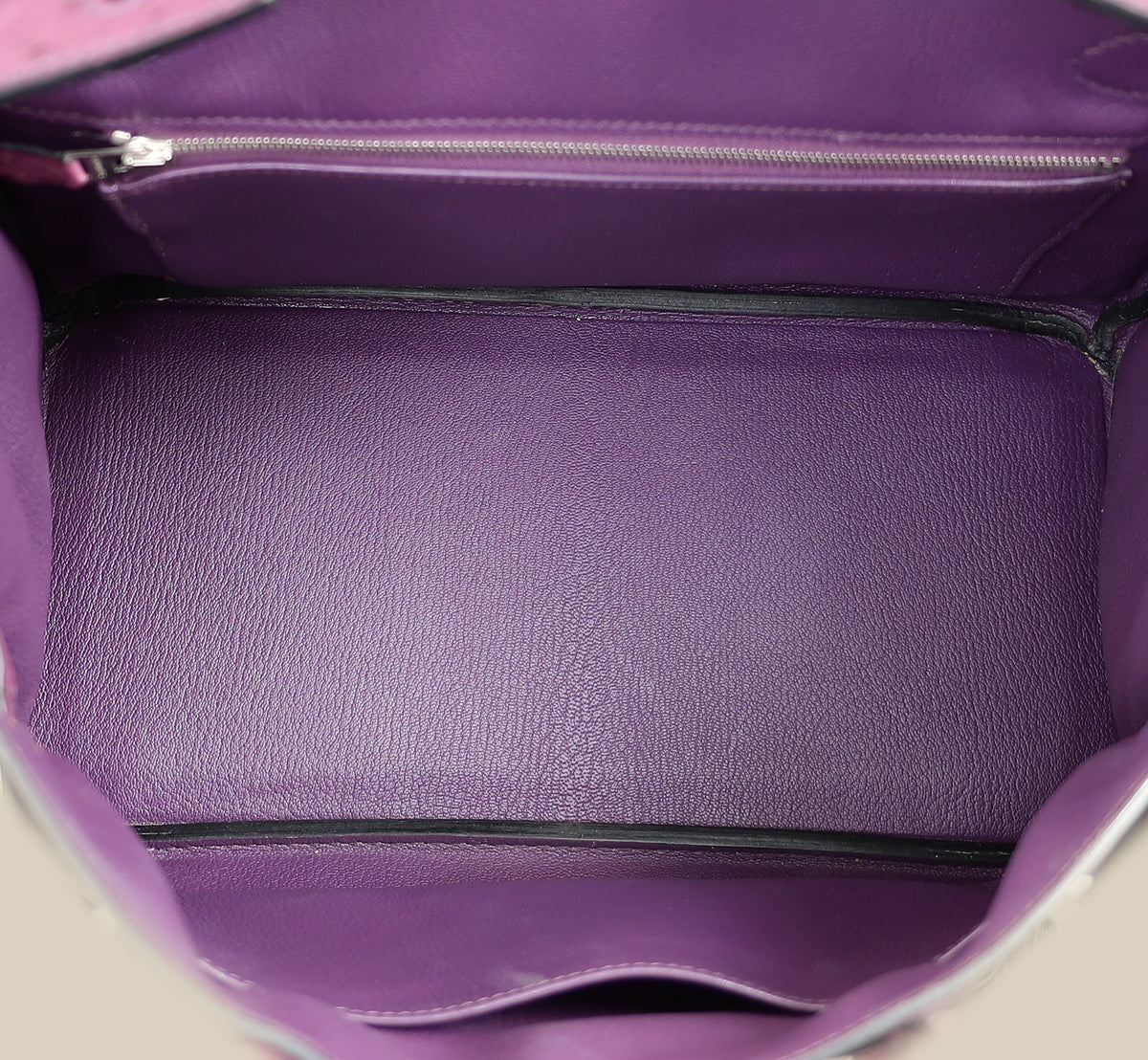 Hermes Violine Ostrich Retourne Birkin 30 Bag