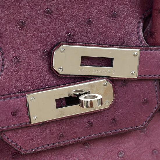 Hermes Violine Ostrich Retourne Birkin 30 Bag