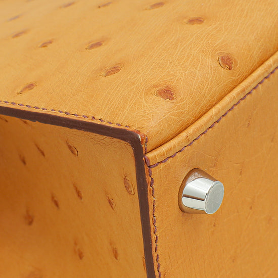 Hermes Gold Ostrich Sellier Kelly 25 Bag-Hermes-THE CLOSET