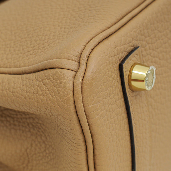 Load image into Gallery viewer, Hermes Chai Retourne Birkin Touch 25 Bag
