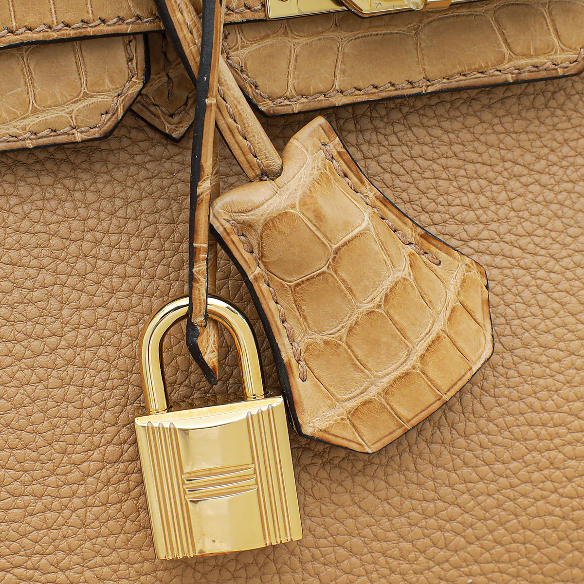 Hermes Chai Retourne Birkin Touch 25 Bag