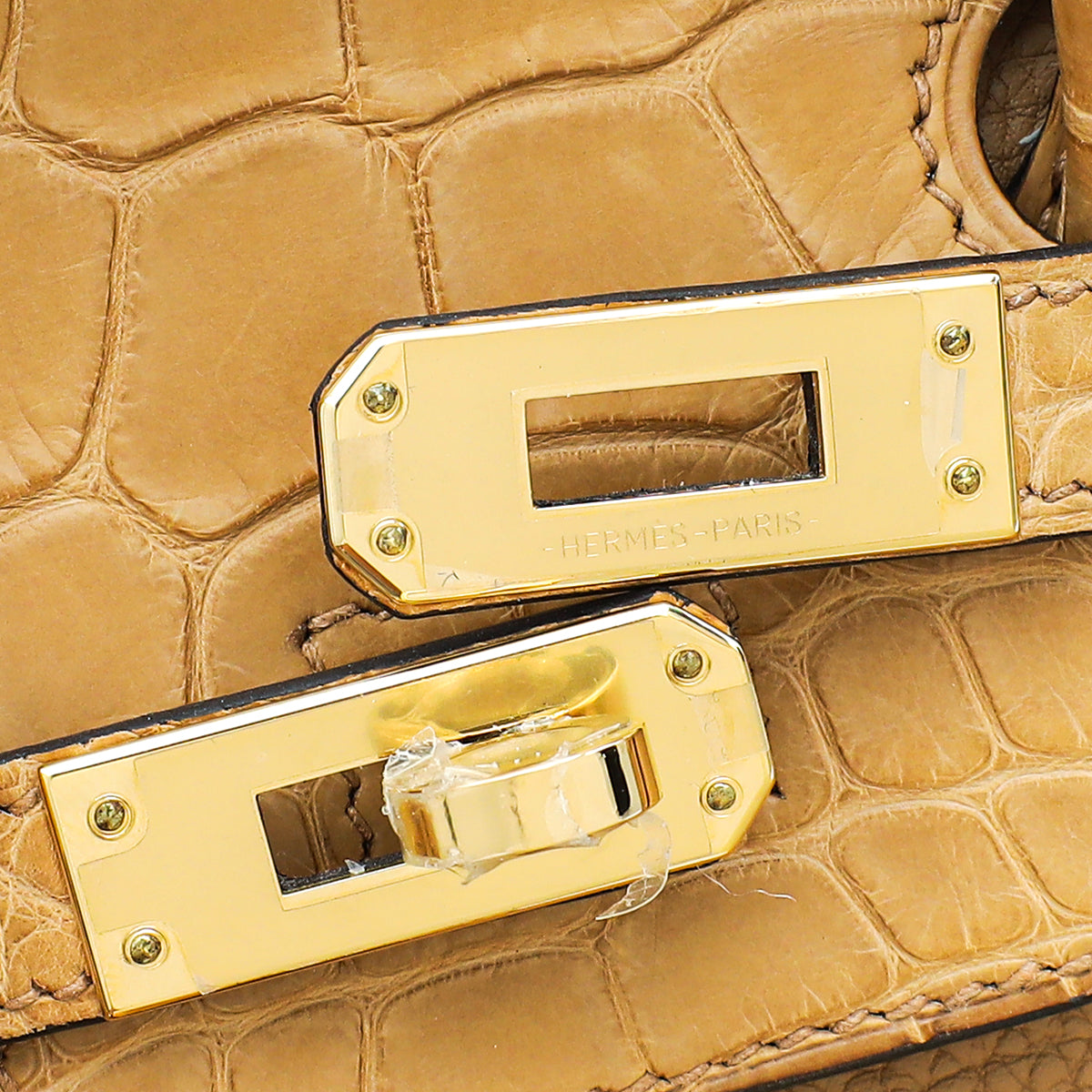 Hermes Chai Retourne Birkin Touch 25 Bag