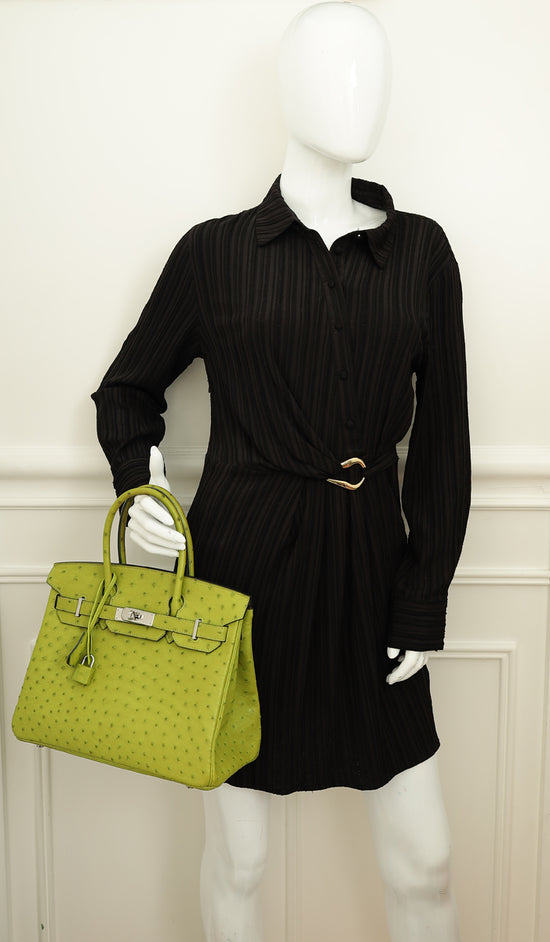 Hermes Vert Anis Ostrich Birkin 30 Bag-Hermes-THE CLOSET