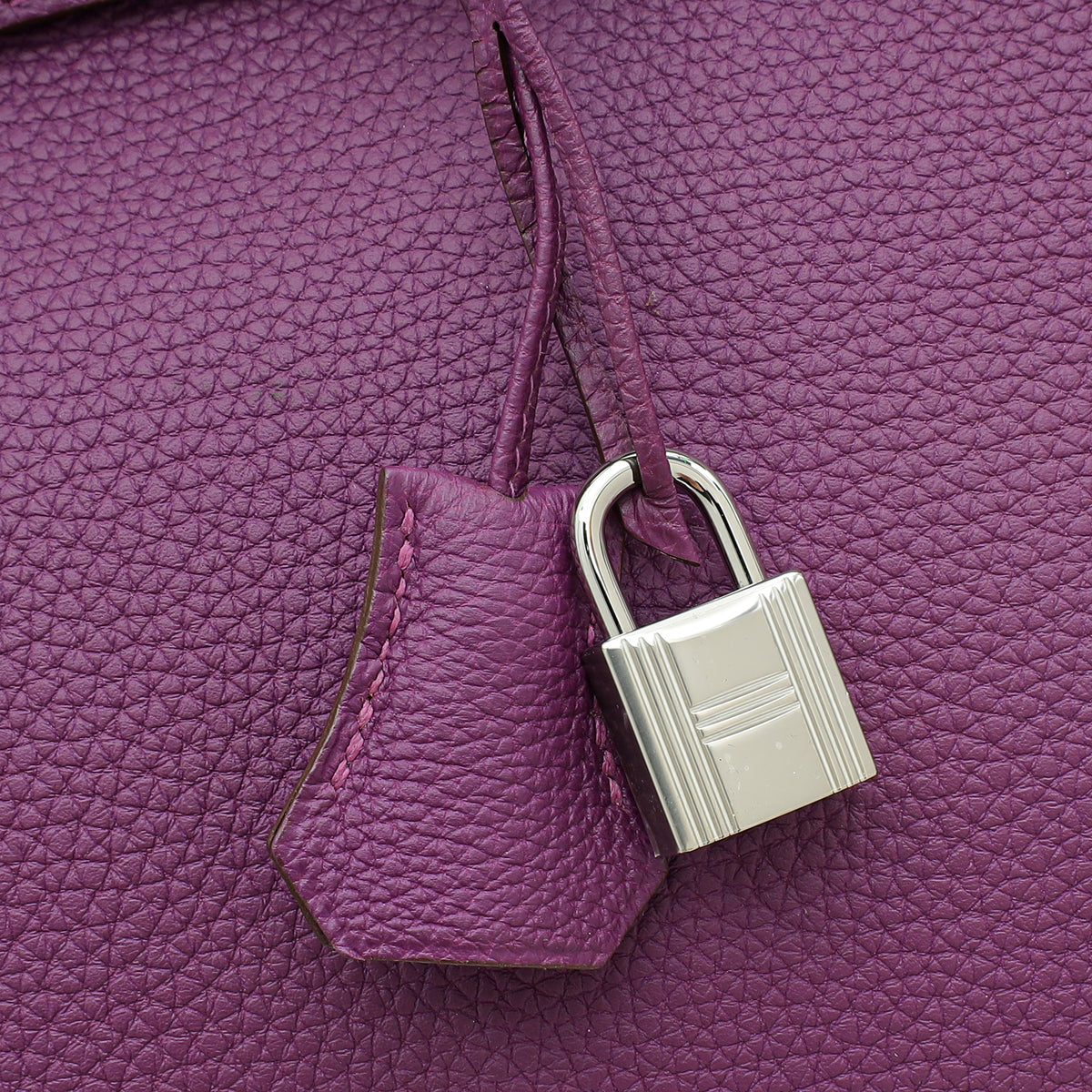 Hermes Birkin Anemone 35 Bag