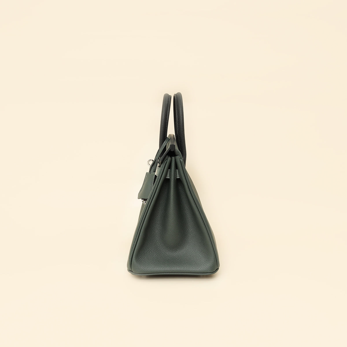 Hermes Tricolor Birkin 25 Bag-Hermes-THE CLOSET