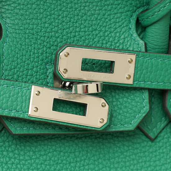 Hermes Vert Vertigo Birkin 25 Retourne Bag-Hermes-THE CLOSET