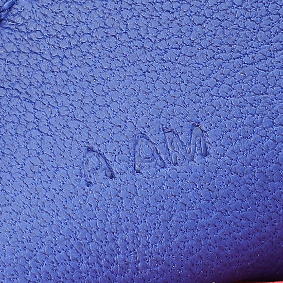 Hermes Tricolor Rodeo MM Bag Charm-Hermes-THE CLOSET