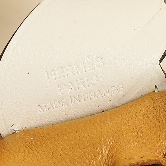 Hermes Tricolor Rodeo Pegase PM Charm
