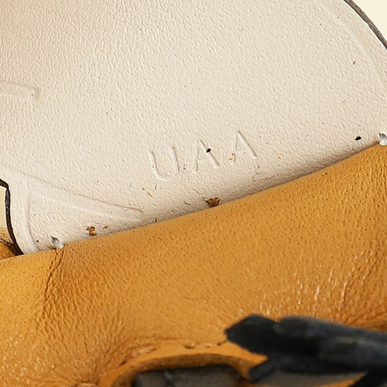 Hermes Tricolor Rodeo Pegase PM Charm